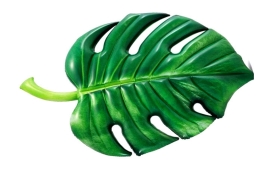Nafukovací lehátko - palmový list