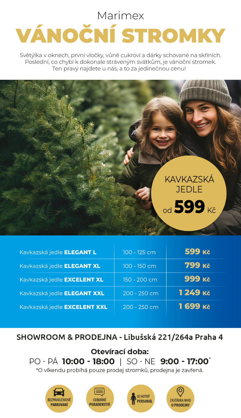 Živé vánoční jedle koupíte v prodejně Marimex