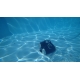 Bazénový vysavač Black Coral