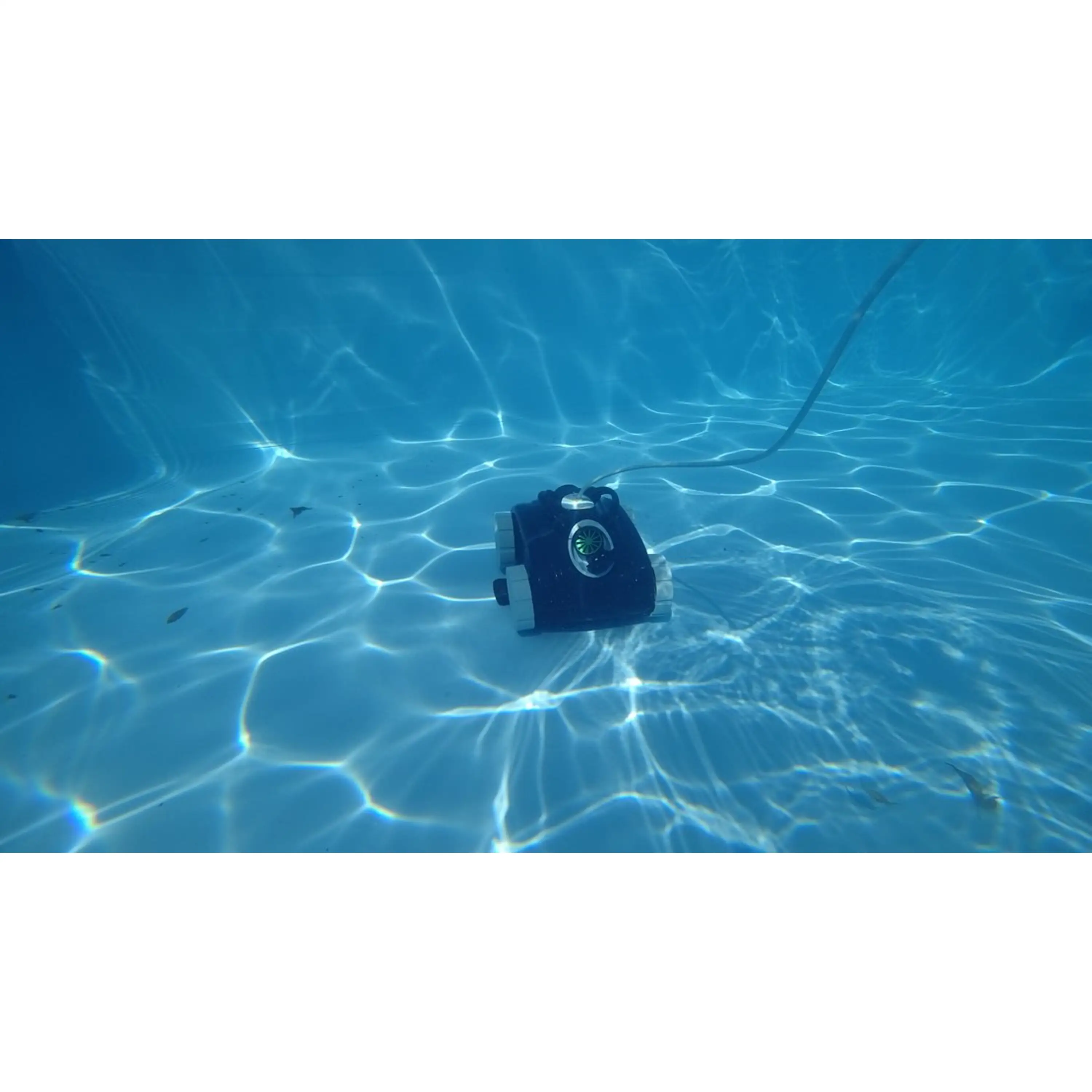 Marimex | Bazénový vysavač Black Coral | 10831018 Obrázek