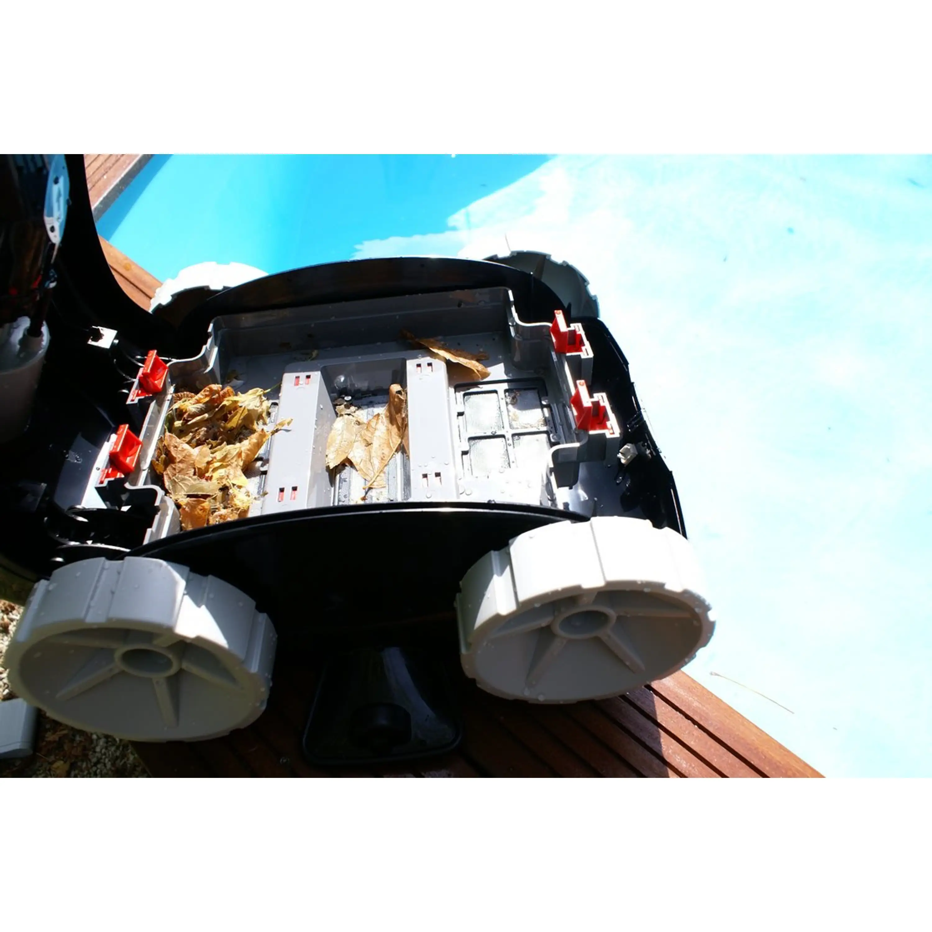 Marimex | Bazénový vysavač Black Coral | 10831018 Obrázek