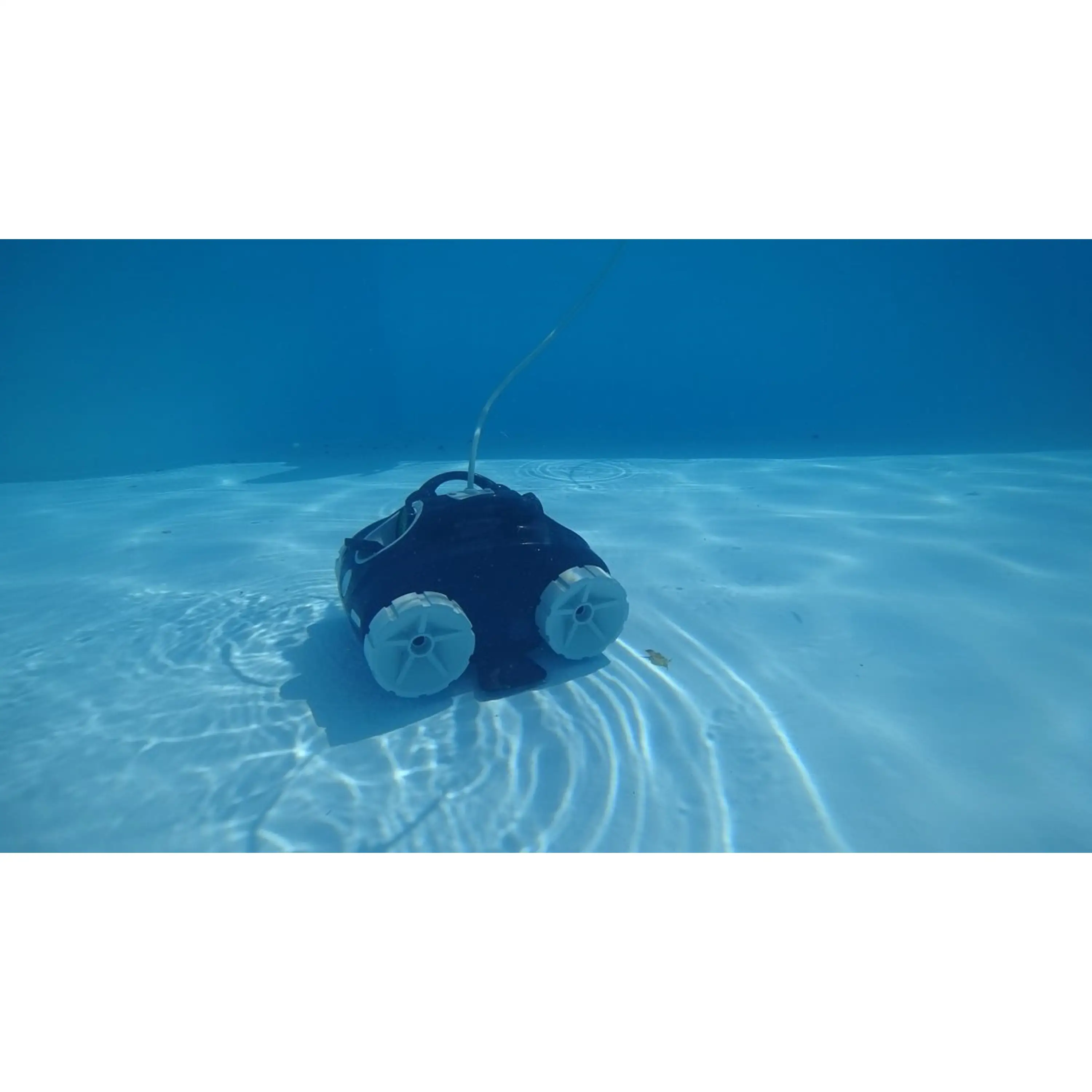 Marimex | Bazénový vysavač Black Coral | 10831018 Obrázek