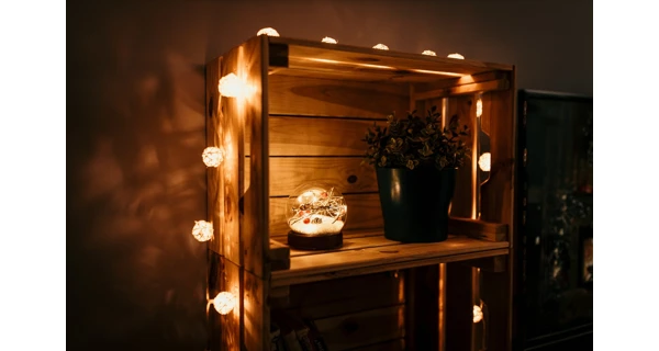 Crystal těžítko s cesmínou 10 LED