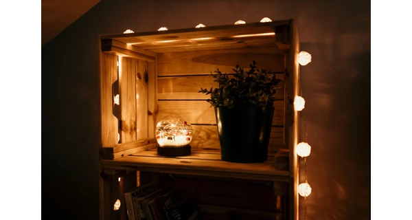 Crystal těžítko s cesmínou 10 LED