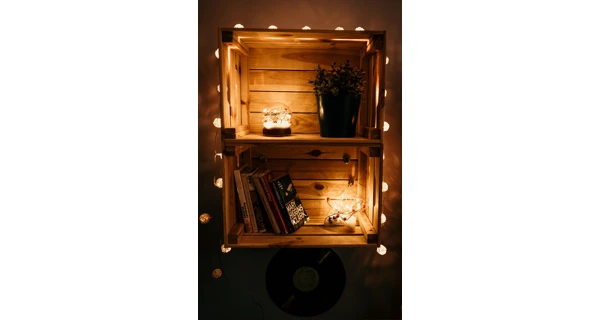 Crystal těžítko s cesmínou 10 LED