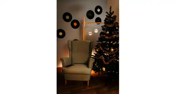 Crystal závěsná koule s větvičkou 12 LED