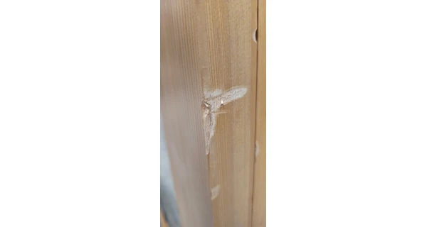 Finská sauna Marimex KIPPIS XL + saunová kamna (Zánovní), SN 24080140