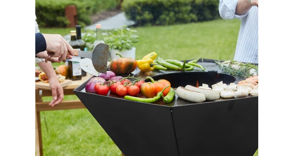 Gril na dřevo Barbecook Nestor Original Černá ocel
