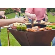 Gril na dřevo Barbecook Nestor Original Hnědá ocel