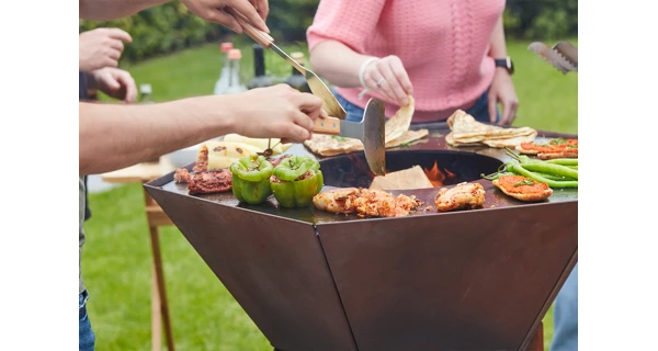 Gril na dřevo Barbecook Nestor Original Hnědá ocel