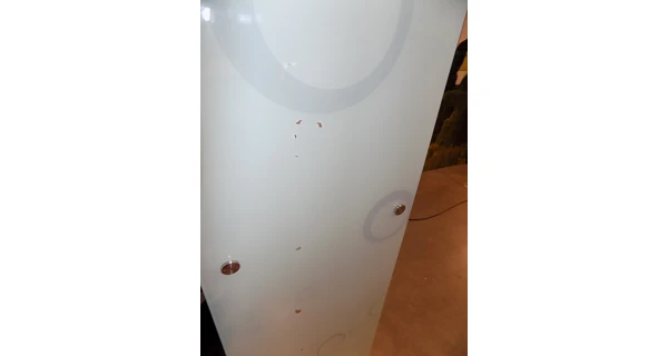 Infrasauna Crystal  (Bazar, SN 107635)