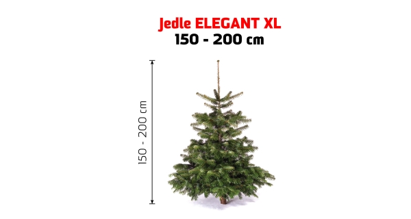 Jedle Elegant XL