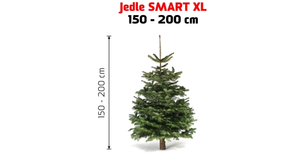 Jedle Smart XL