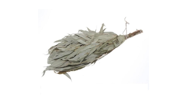 Metlička - eukalyptová