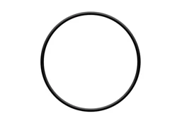 O-kroužek hlavy filtrace ProStar 4 a ProStar 6