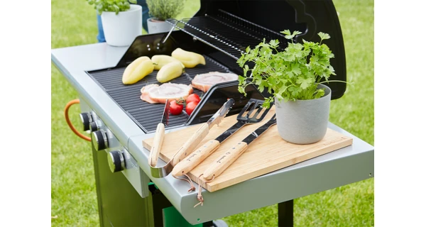 Plynový gril Barbecook Spring 3112