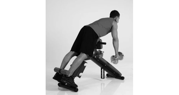 Posilovací lavice FINNLO AB and BACK Trainer