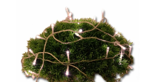 Řetěz 5 m - 50 LED - teplá bílá - spínač