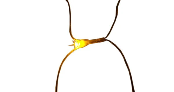 Síť 1,5 x 1,5 m - 100 LED - teplá bílá