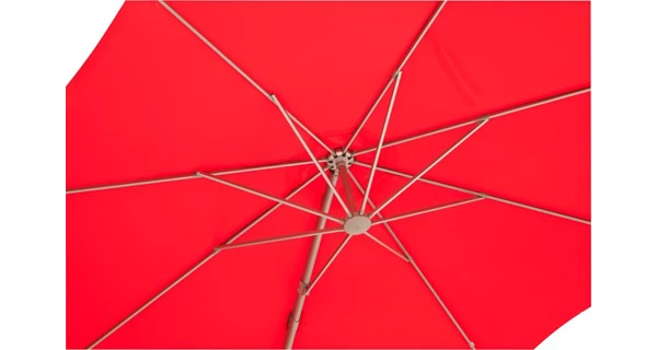 Slunečník středový červený