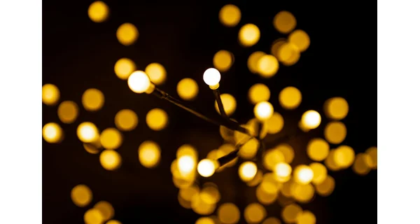 Stromek s žárovkami 200 LED - teplá bílá