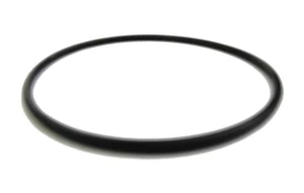 Těsnění víka filtrace k ProStar Balls