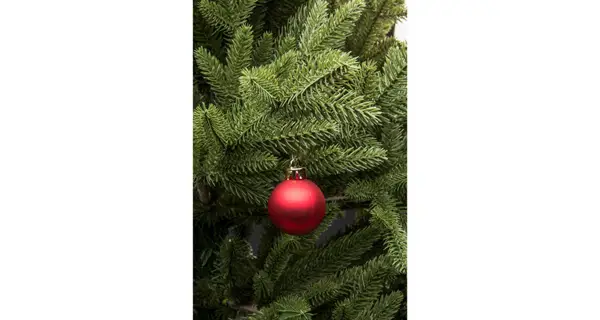 Vánoční koule 4 cm - červená