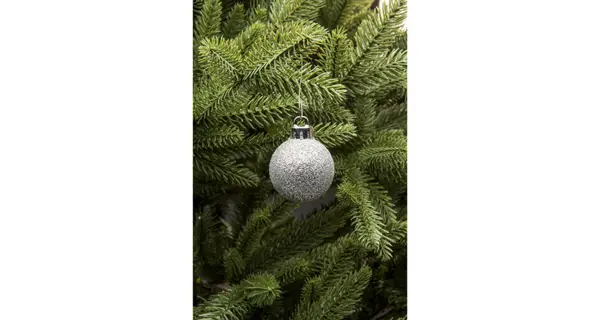 Vánoční koule 4 cm - stříbrná