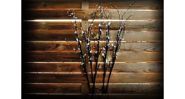 Větvičky LED s kamínky